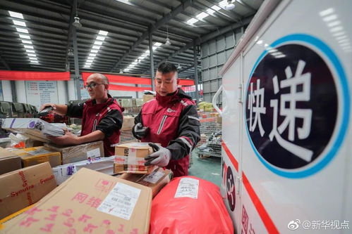 雙11成都消費者最愛買什么 成都 海淘 為啥便宜 收貨還快