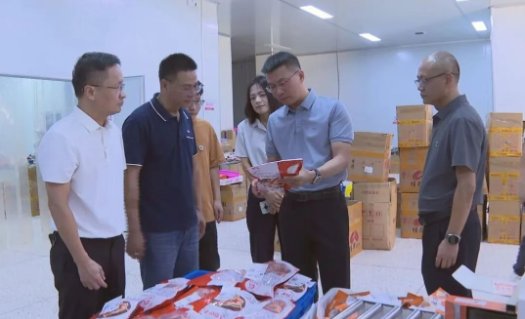 縣長(zhǎng)調(diào)研電商及口岸經(jīng)濟(jì)工作，聚焦海淘物流發(fā)展新路徑